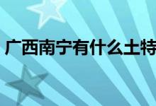 广西南宁有什么土特产（广西南宁有啥特产）