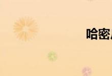 哈密瓜怎么吃 