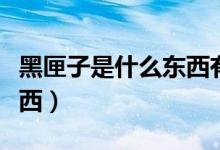 黑匣子是什么东西有什么用（黑匣子是什么东西）