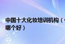 中国十大化妆培训机构（化妆培训学校排行榜学化妆的学校哪个好）