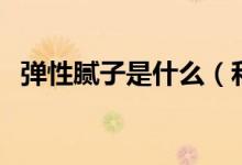 弹性腻子是什么（和普通腻子有什么区别）