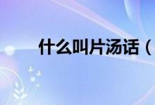什么叫片汤话（片汤话是哪里的话）