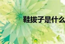 鞋拔子是什么（鞋拔子是什么）