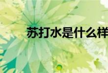 苏打水是什么样子（苏打水是什么）