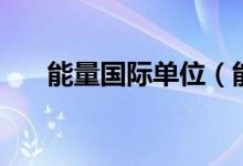 能量国际单位（能量国际单位是什么）