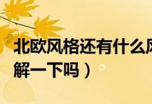 北欧风格还有什么风格（三种北欧风格介绍了解一下吗）