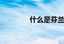 什么是芬兰木（价格贵吗）