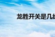 龙胜开关是几线品牌（质量怎样）