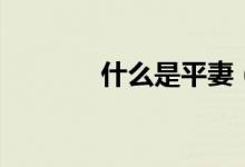 什么是平妻（什么是平仄音）