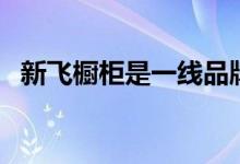 新飞橱柜是一线品牌吗（新飞橱柜怎么样）