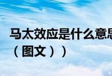 马太效应是什么意思啊（马太效应是什么意思（图文））
