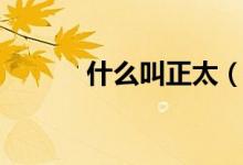什么叫正太（正太是什么意思）