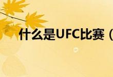 什么是UFC比赛（ufc指的是什么比赛）