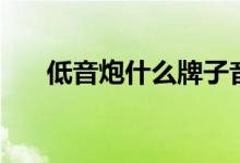 低音炮什么牌子音质好（要怎么选购）