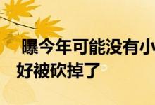  曝今年可能没有小米CC系列新机或是表现不好被砍掉了 