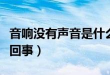 音响没有声音是什么情况（音响没声音是怎么回事）
