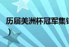 历届美洲杯冠军集锦（历届美洲杯冠军有哪些）