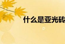 什么是亚光砖（什么是亚光砖）