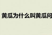 黄瓜为什么叫黄瓜问题（黄瓜为什么叫黄瓜）