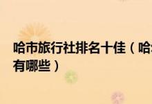 哈市旅行社排名十佳（哈尔滨哪家旅行社好哈尔滨旅游公司有哪些）