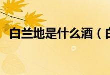 白兰地是什么酒（白兰地是红酒还是白酒）