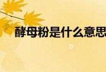 酵母粉是什么意思（酵母粉是什么做的）