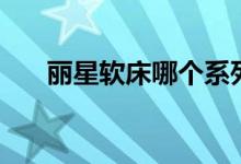 丽星软床哪个系列比较好（价格贵吗）