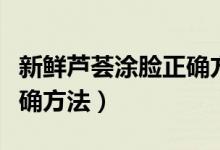新鲜芦荟涂脸正确方法图片（新鲜芦荟涂脸正确方法）