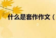 什么是套作作文（什么是套牢（图文））