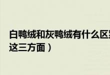 白鸭绒和灰鸭绒有什么区别（白鸭绒和灰鸭绒的区别主要在这三方面）