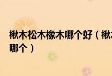 楸木松木橡木哪个好（楸木家具优缺点楸木与橡木你会选择哪个）