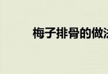 梅子排骨的做法大全（梅子排骨）