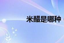 米醋是哪种（米醋是白醋吗）