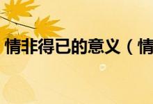 情非得已的意义（情非得已的意思（图文））