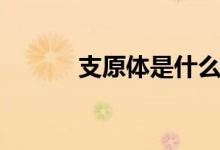 支原体是什么（什么是支原体）