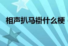 相声扒马褂什么梗（相声扒马褂什么意思）