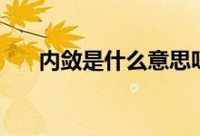 内敛是什么意思呀（内敛是什么意思）