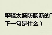 牢骚太盛防肠断的下一句（牢骚太盛防肠断的下一句是什么）