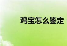 鸡宝怎么鉴定（鸡宝的保存方法）