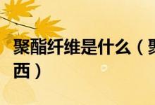 聚酯纤维是什么（聚酯纤维具体指的是什么东西）