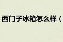 西门子冰箱怎么样（西门子冰箱价格一览表）