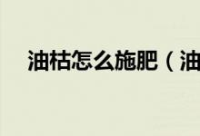 油枯怎么施肥（油枯做肥料起什么作用）