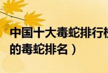 中国十大毒蛇排行榜（国内最毒的蛇排名中国的毒蛇排名）