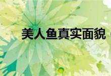 美人鱼真实面貌（美人鱼真实存在吗）