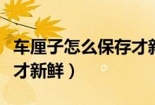 车厘子怎么保存才新鲜冬天（车厘子怎么保存才新鲜）