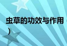 虫草的功效与作用（虫草的功效与作用是什么）