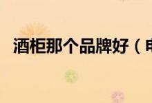 酒柜那个品牌好（电子酒柜什么品牌的好）