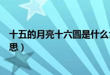 十五的月亮十六圆是什么含意（十五的月亮十六圆是什么意思）