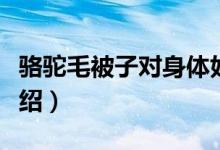 骆驼毛被子对身体好吗（骆驼毛被子优缺点介绍）