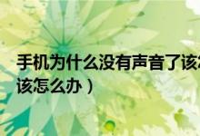手机为什么没有声音了该怎么办呢（手机为什么没有声音了该怎么办）